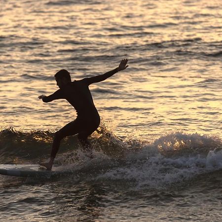 Village Vacances La Foret Des Landes Tarnos Εξωτερικό φωτογραφία