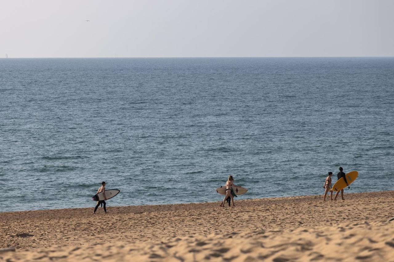 Village Vacances La Foret Des Landes Tarnos Εξωτερικό φωτογραφία